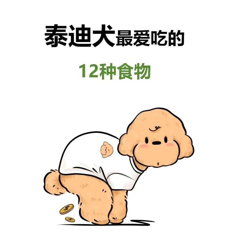 养一只泰迪需要哪些东西？（关于泰迪狗狗的必备用品和注意事项）