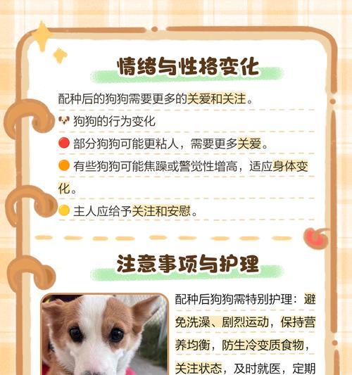 狗狗最佳配种时间确定的三种方法（了解如何确定狗狗最佳配种时间的三种方法）