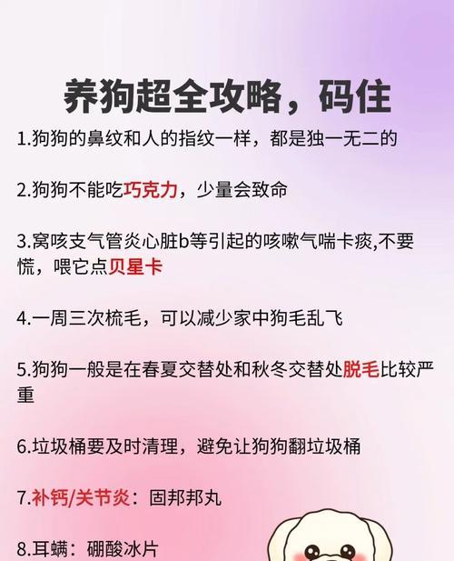 狗狗肺炎输液需要多长时间？（了解狗狗肺炎输液的治疗时长与注意事项）