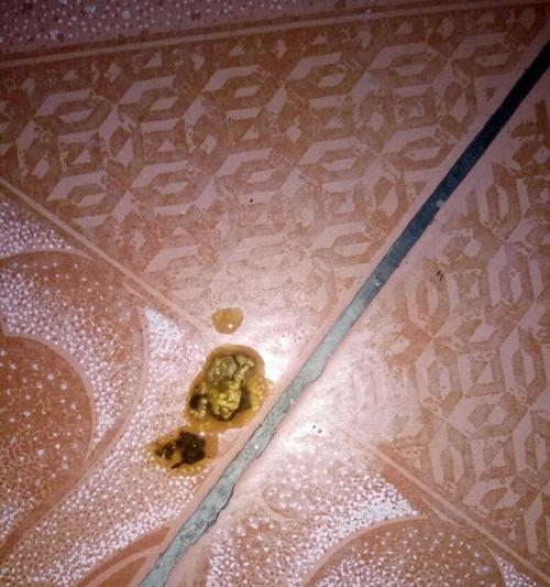 狗狗肺炎输液需要多长时间？（了解狗狗肺炎输液的治疗时长与注意事项）