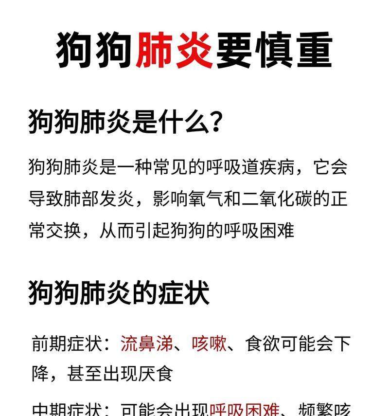 狗狗肺炎输液治疗时长与注意事项全攻略