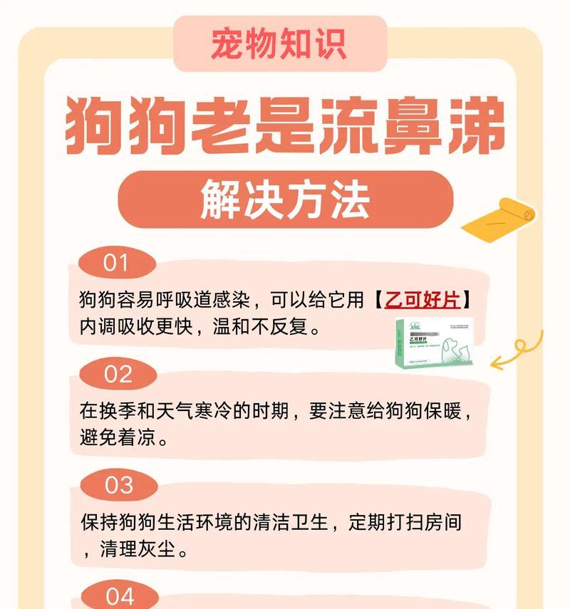 狗狗流鼻涕的症状、原因与治疗全攻略｜宠物健康必备知识