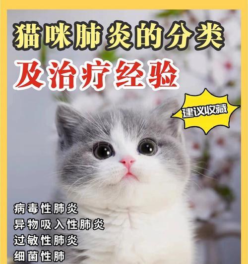 猫咪肺炎治愈时间与关键因素｜实用指南