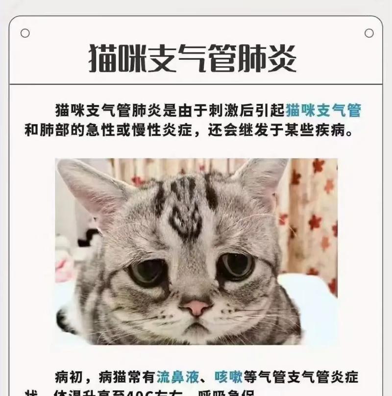 猫咪肺炎（探究猫咪肺炎的痊愈时间与关键因素）
