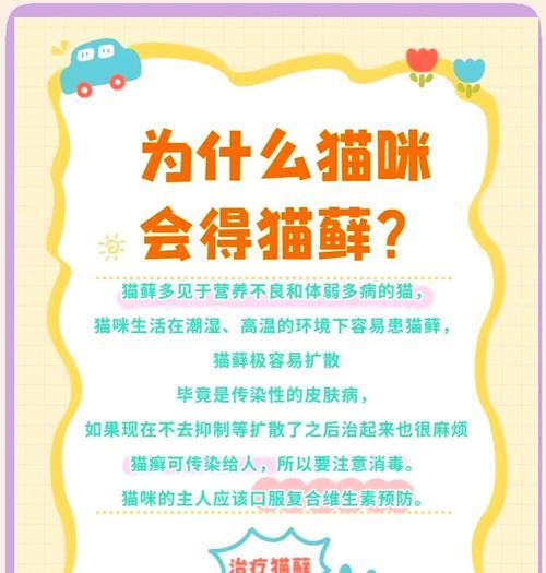 猫藓治疗时间与方法全攻略｜猫咪皮肤健康守护指南