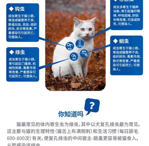 幼猫驱虫指南——合适驱虫药的选择（让幼猫远离寄生虫的有效方法）