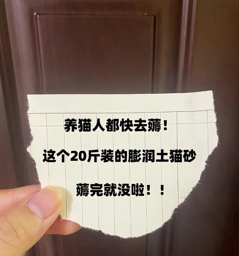 养猫必备（从亲身经验出发，探讨最适合养猫的猫砂选择）