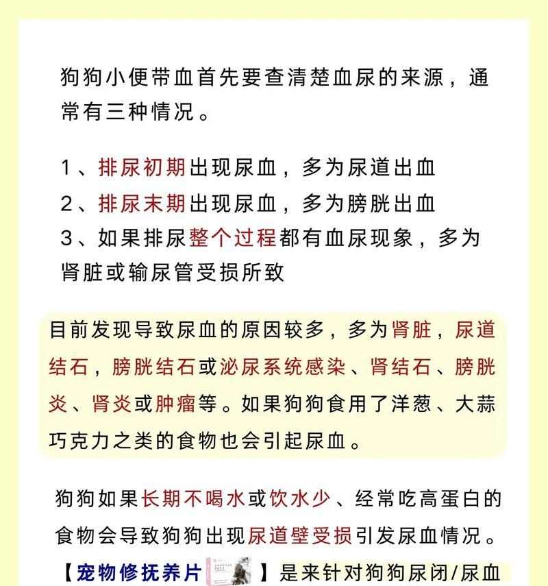 狗狗血便的原因及治疗（探究狗狗血便的原因，以及对症治疗方法）