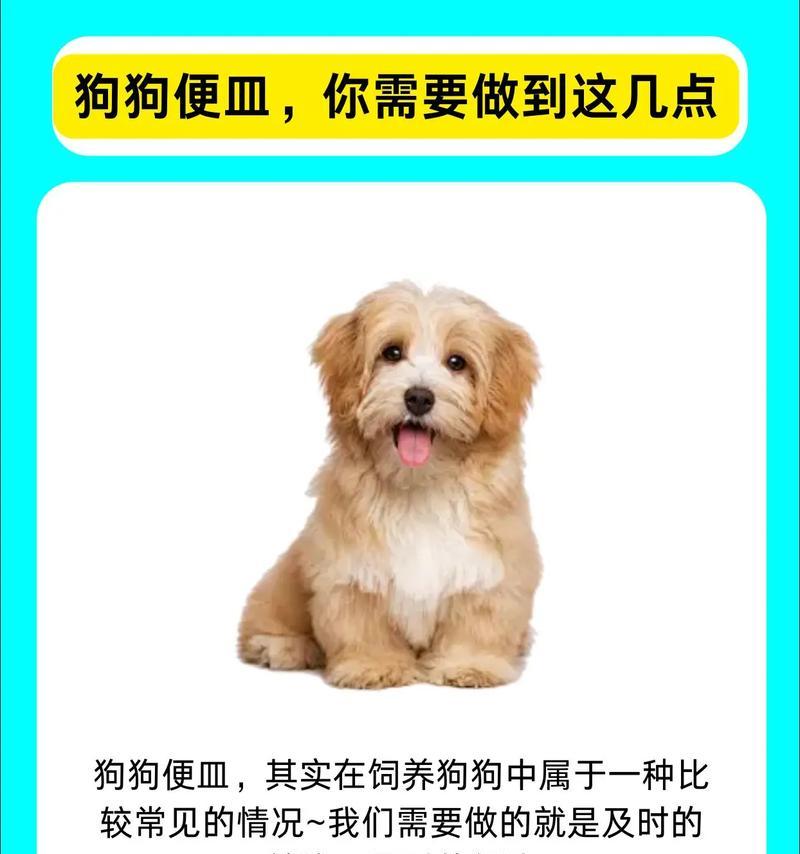 狗狗血便的原因及治疗（探究狗狗血便的原因，以及对症治疗方法）