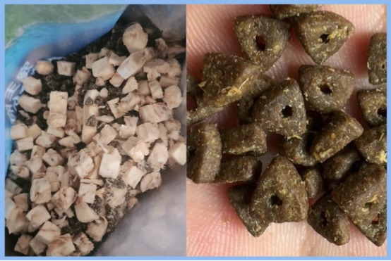 宠王府深海鱼配方冻干猫粮测评|高蛋白美毛猫粮全攻略 宠王府深海鱼猫粮怎么样?