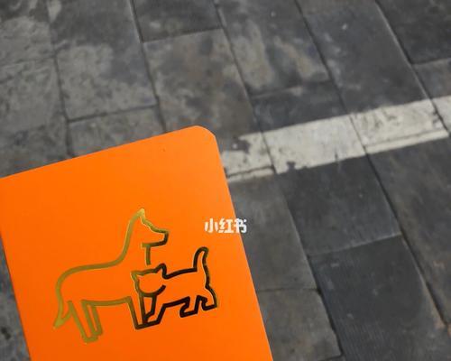 小狗第三针后多久能洗澡|实用指南全攻略 小狗第三针后多久能洗澡|实用指南全攻略