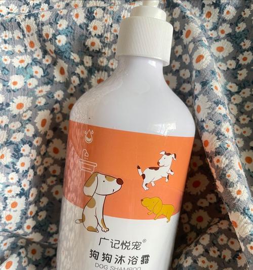 泰迪冬季洗澡频率指南|科学护理保持健康 泰迪冬季洗澡频率指南|科学护理保持健康