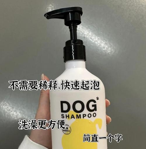泰迪冬季洗澡频率指南|科学护理保持健康 泰迪冬季洗澡频率指南|科学护理保持健康