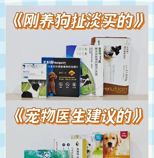 狗狗打虫药见效时间全攻略|正确使用与注意事项 狗狗打虫药见效时间全攻略|正确使用与注意事项