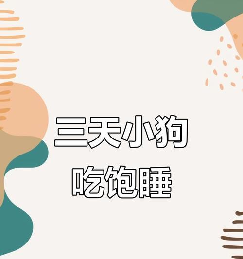狗狗喝牛奶的时间与频率｜科学喂养实用指南