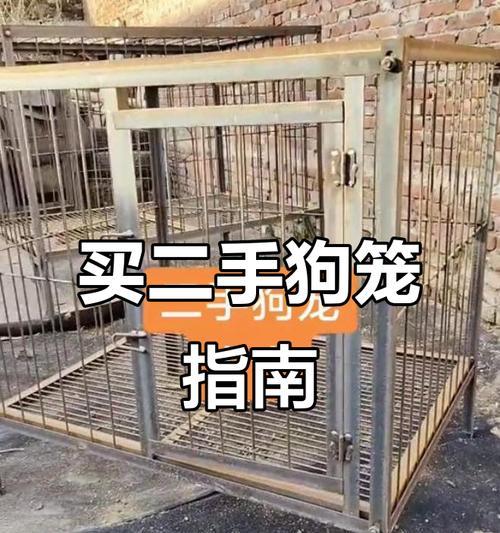 狗笼子清洗频率全攻略｜宠物健康关键步骤