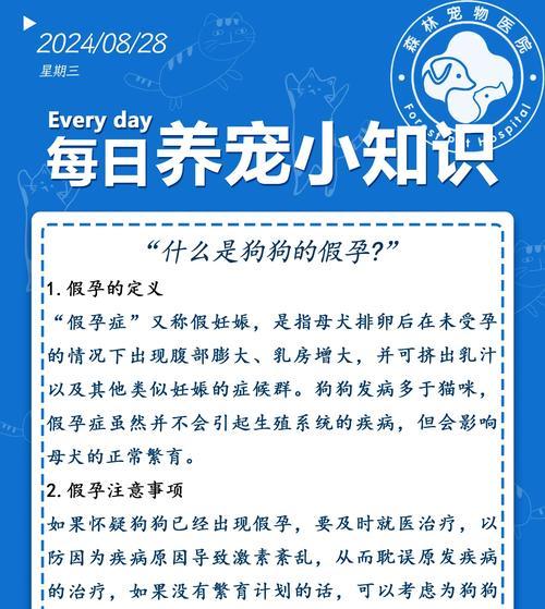 如何辨别狗狗真假怀孕|实用指南全攻略 如何辨别狗狗真假怀孕|实用指南全攻略