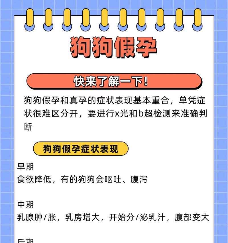 如何辨别狗狗真假怀孕|实用指南全攻略 如何辨别狗狗真假怀孕|实用指南全攻略