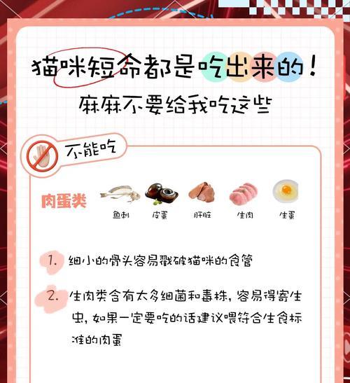 猫咪中毒别急着催吐｜正确处理方法全攻略