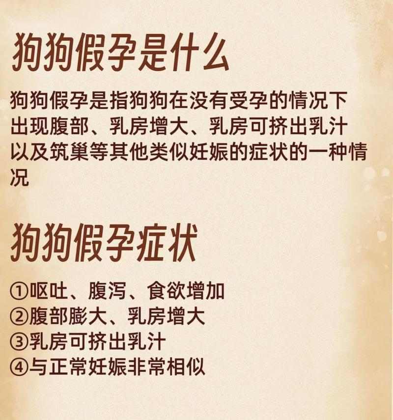 如何辨别狗狗真假怀孕｜实用指南全攻略