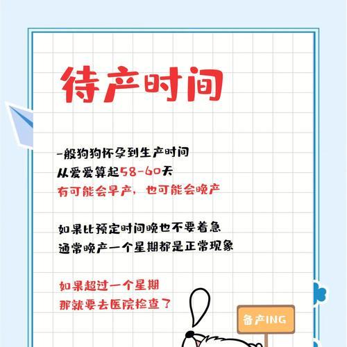 狗狗妊娠期分娩期哺乳期时间安排|养宠实用指南 狗狗妊娠期分娩期哺乳期时间安排|养宠实用指南