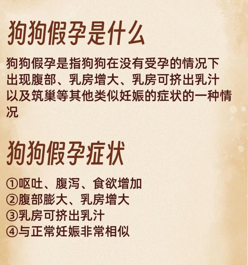 如何辨别狗狗真假怀孕|实用指南全攻略 如何辨别狗狗真假怀孕|实用指南全攻略