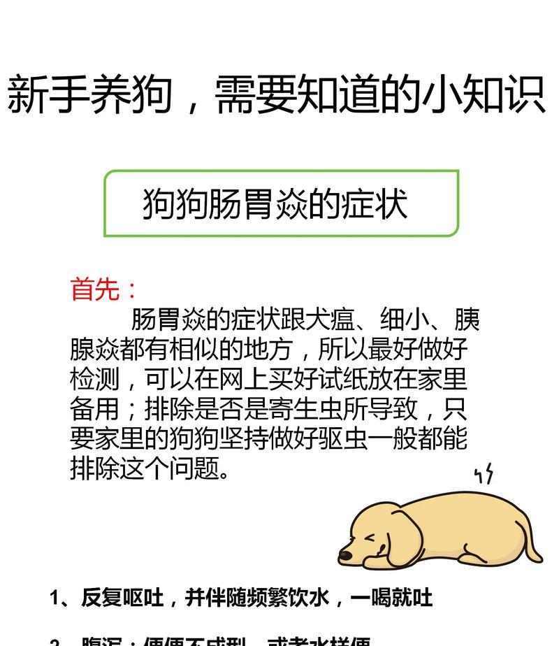 爱犬驱虫后不良反应处理指南｜宠物健康守护核心技巧