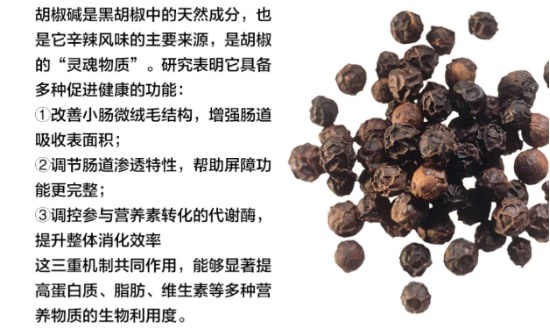 倔强嘴巴烘焙猫粮测评|高端鲜肉配方全解析 倔强嘴巴猫粮怎么样?