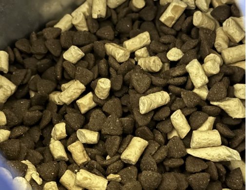 海洋之星冻干双拼狗粮测评|营养与适口性全解析 海洋之星冻干双拼狗粮好不好?