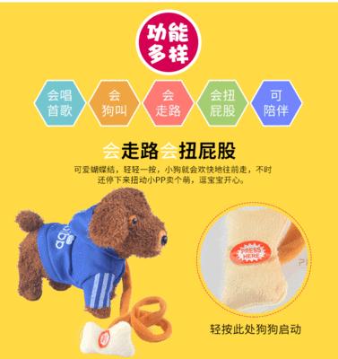 泰迪狗产后恢复期行走指南｜科学助其快速康复