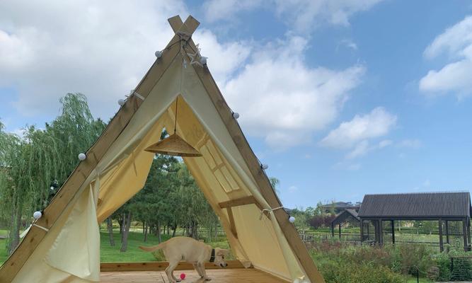 威海宠物友好宾馆推荐|狗狗友好住宿全攻略 威海宠物友好宾馆推荐|狗狗友好住宿全攻略