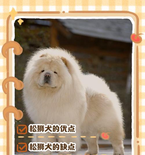 松狮毛发修剪全攻略｜掌握季节性修剪时机与技巧