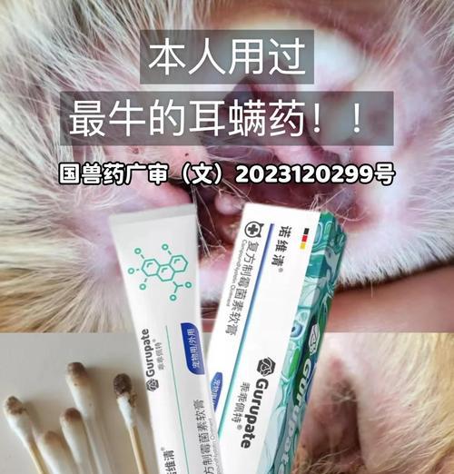 如何选择适合治疗狗狗耳螨的药物|实用指南 如何选择适合治疗狗狗耳螨的药物|实用指南