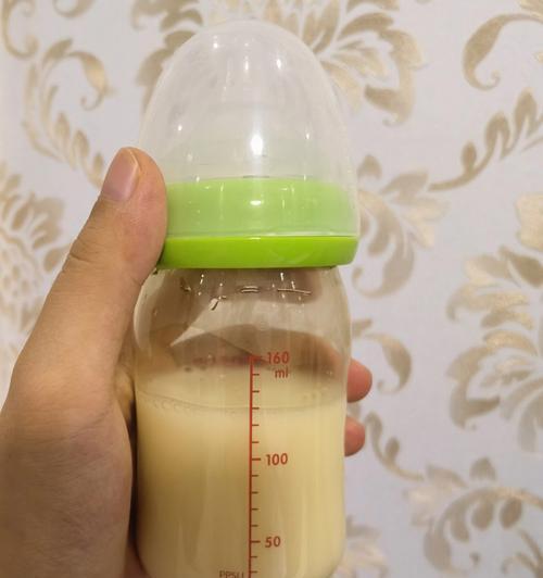 异国短毛猫断奶时机全攻略|科学育儿关键步骤 异国短毛猫断奶时机全攻略|科学育儿关键步骤