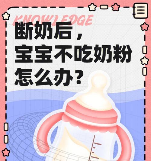 异国短毛猫断奶时机全攻略｜科学育儿关键步骤