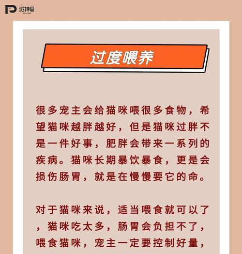 四个月大猫咪洗澡时机与方法全攻略|宠物护理核心技巧 四个月大猫咪洗澡时机与方法全攻略|宠物护理核心技巧