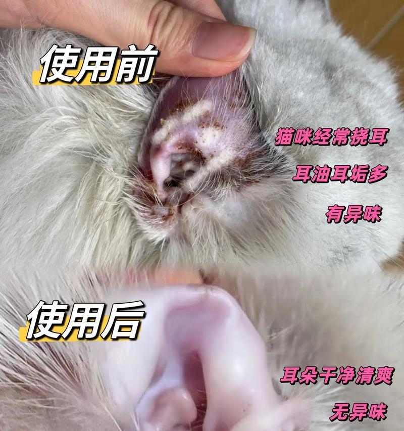 如何选择适合治疗狗狗耳螨的药物|实用指南 如何选择适合治疗狗狗耳螨的药物|实用指南