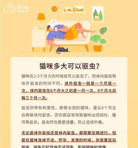 四个月大猫咪洗澡时机与方法全攻略｜宠物护理核心技巧