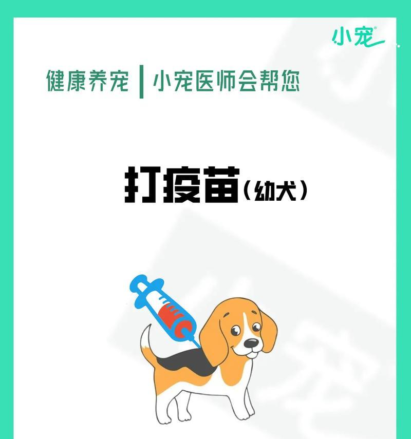 新买回家的狗狗需打疫苗｜健康守护全攻略
