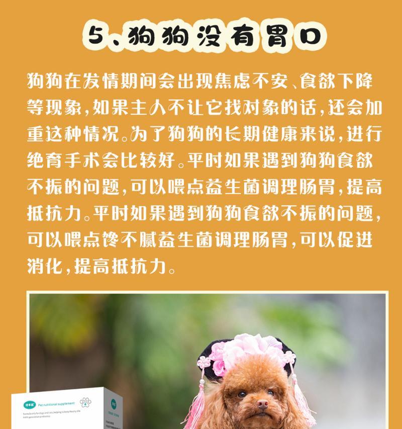 母狗的遗忘时间|宠物情感连结与记忆攻略 母狗的遗忘时间|宠物情感连结与记忆攻略