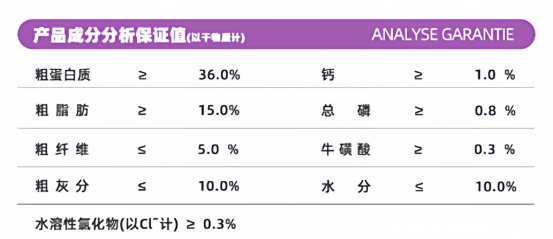 老年猫粮怎么选?嘉传E99测评指南 老年猫粮吃什么?