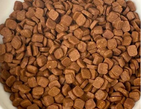 老年猫粮怎么选?嘉传E99测评指南 嘉传猫粮怎么样