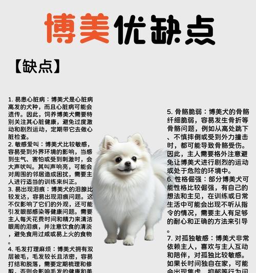 博美犬的缺点与不足|养犬必读全攻略 博美犬的缺点与不足|养犬必读全攻略