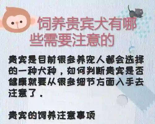 如何正确养狗狗?(注意事项与养护技巧) 如何正确养狗狗?(注意事项与养护技巧)
