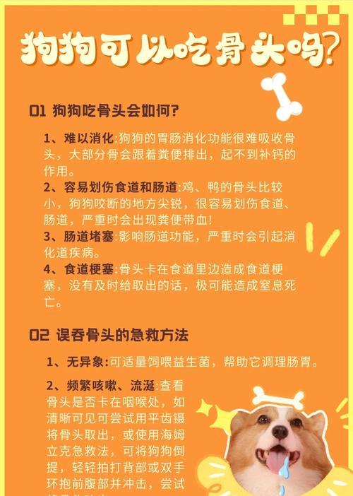 狗狗骨头煮熟的关键｜宠物饮食安全全攻略