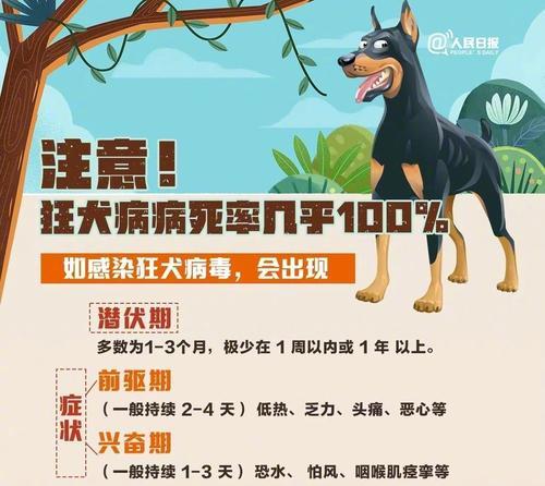 狂犬病症状持续时间的探究（狂犬病症状的时限及关键因素分析）