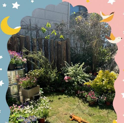 绿鬣蜥可以喂食哪些蔬菜全攻略 绿鬣蜥可以喂食哪些蔬菜全攻略