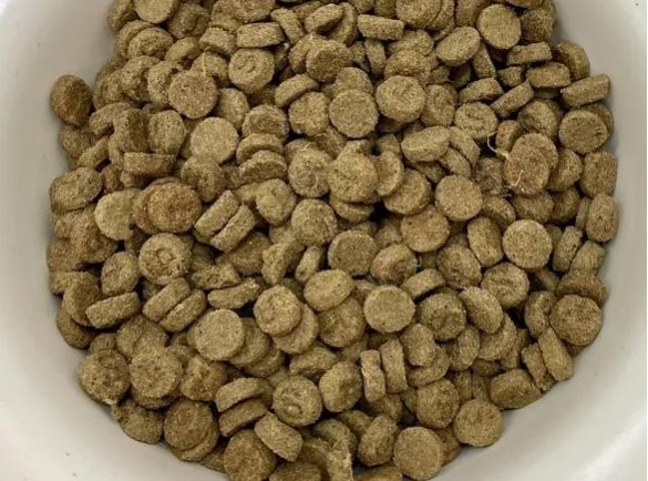 猫先吃上新疆驼奶了?探索烘焙猫粮真的好吗? 探索新疆驼奶猫粮