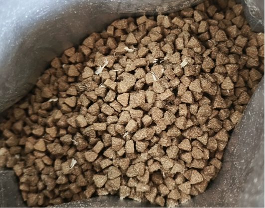 深扒纯刻P40幼猫粮:是“肉食盛宴”还是虚张声势? 纯刻猫粮怎么样?