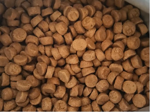 猫小闹烘焙猫粮